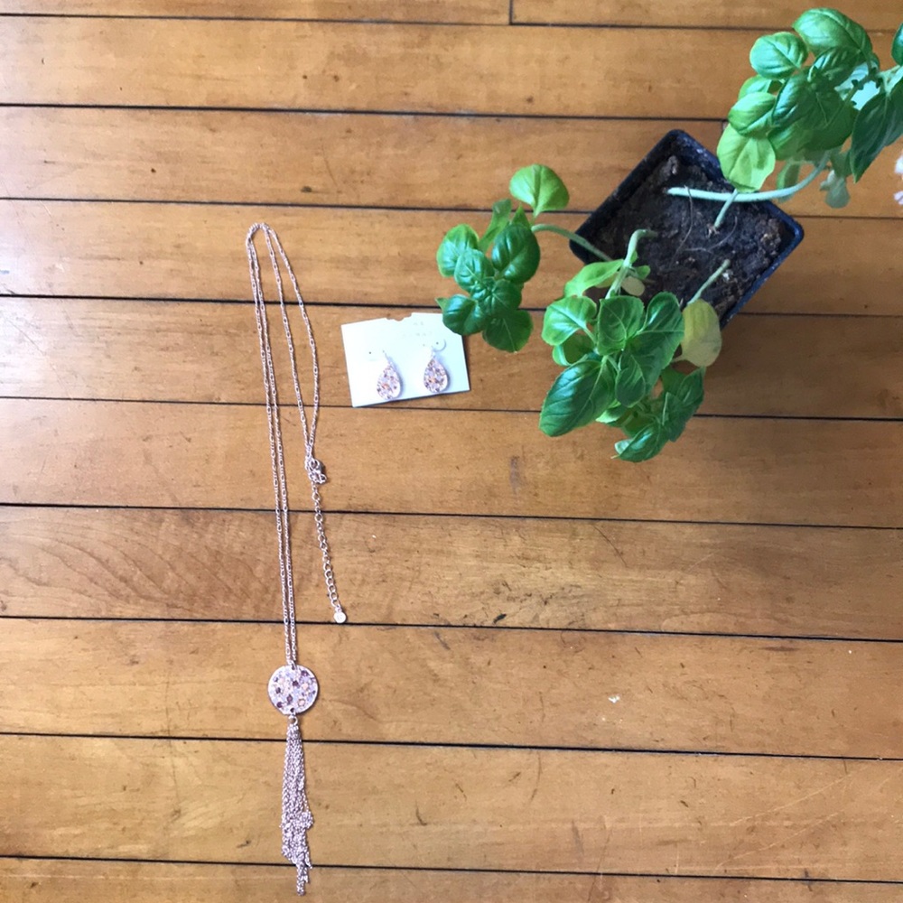 Necklace and earrings
